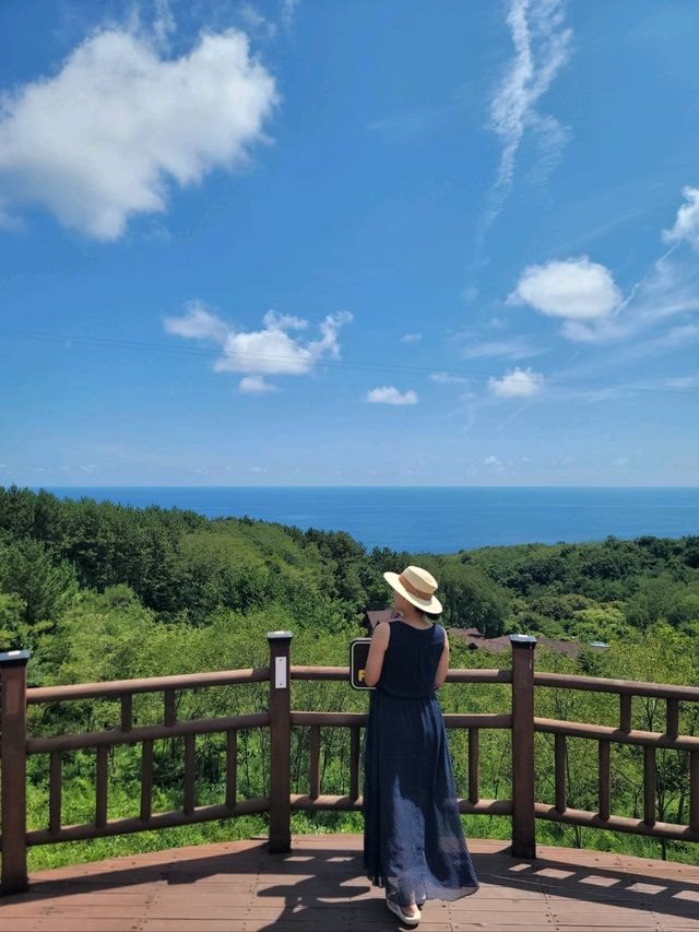 영덕필수여행지로 추천하는 풍력발전소✨️
