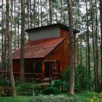 สวนป่าดอยบ่อหลวง อำเภอฮอด เชียงใหม่