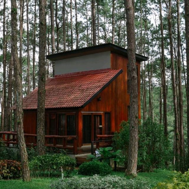 สวนป่าดอยบ่อหลวง อำเภอฮอด เชียงใหม่