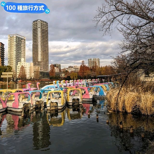 日本東京-大人小孩都喜歡的動物明星：上野動物園