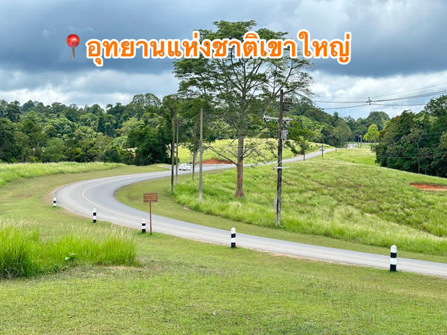 📍อุทยานแห่งชาติเขาใหญ่ จ.นครราชสีมา