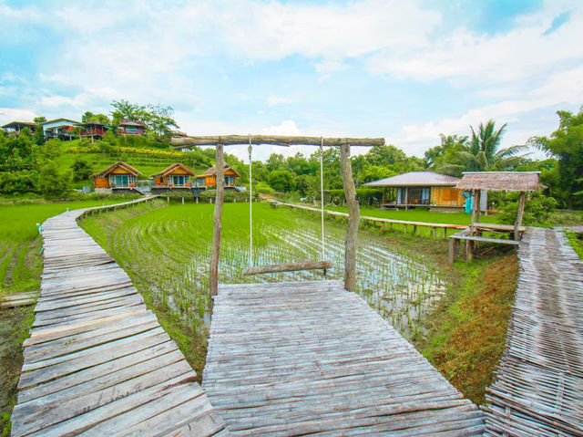 ที่พักโฮมสเตย์วิวดอยสกาดน่าน
