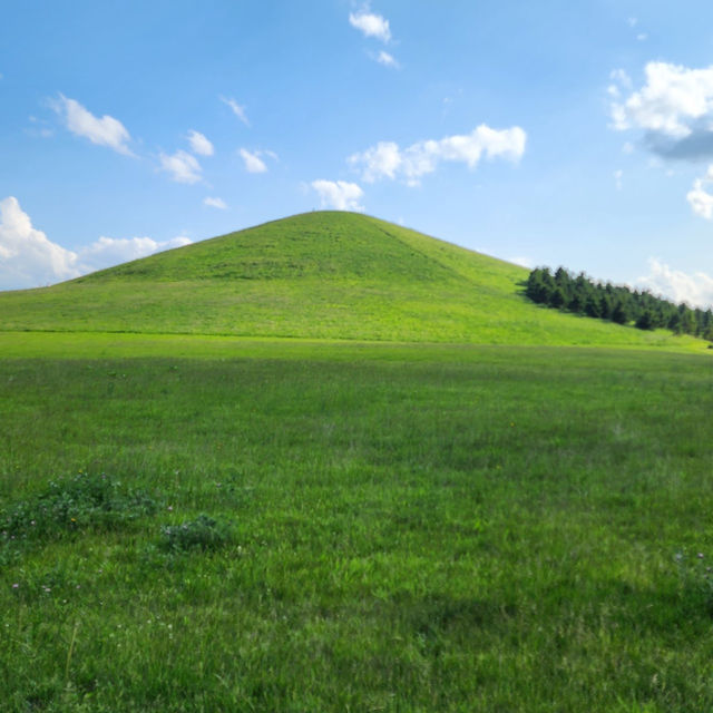A Sculpted Paradise for Art and Nature Lovers
