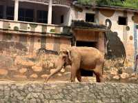 廣州動物園～好多動物睇丫