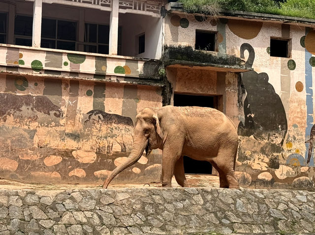廣州動物園～好多動物睇丫