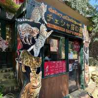 Yufuin Floral Village's Enchanted Charm
