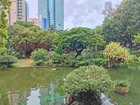 居然在九龍公園發現天空之鏡