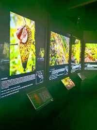 FATAL ATTRACTION Exhibition in GMBB