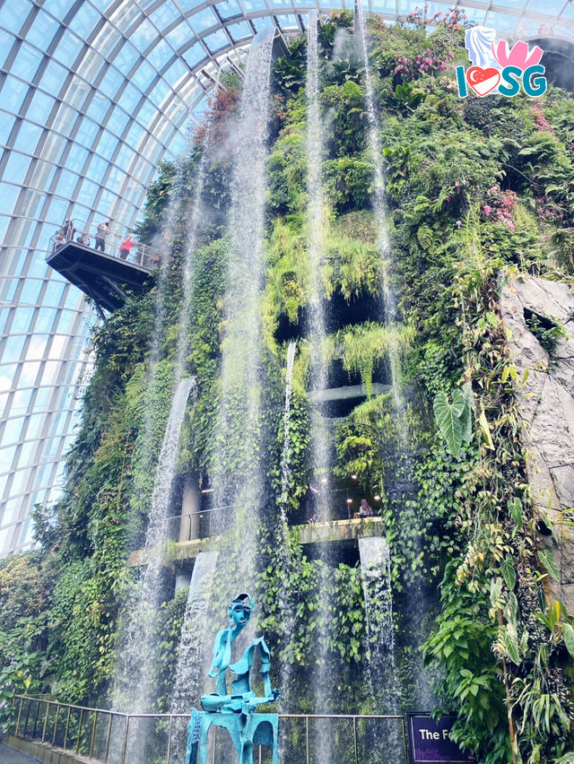 🇸🇬 Must come to Cloud Forest