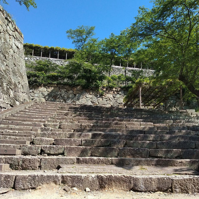 Historical Beauty