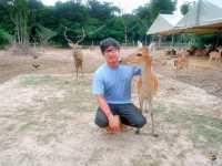 Pungluang ผึ้งหลวงรีสอร์ท