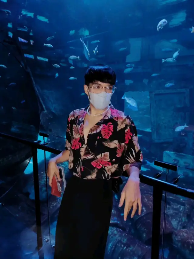 ภูเก็ต水族館 