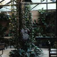 The Wanderer | คาเฟ่บรรยากาศธรรมชาติ