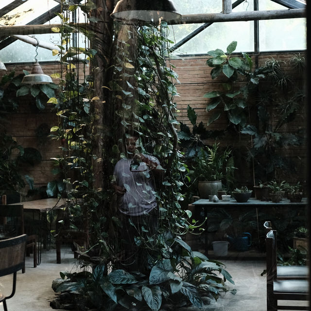 The Wanderer | คาเฟ่บรรยากาศธรรมชาติ