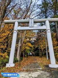 北海道賞楓-定山溪溫泉二天一夜賞楓行程推薦
