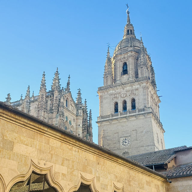 薩拉曼卡 Salamanca  最古老的大學城