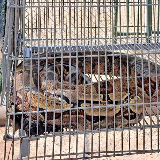 สวนสัตว์เปิดท่าลาด  จ.นครศรีธรรมราช 🐻