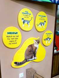 Get Close to Animals at Singapore Zoo