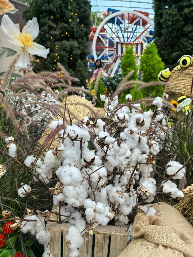 Australian Carnival of Flowers at Flower Dome