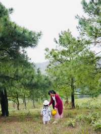Getaway from Hanoi - The Phoenix Hill