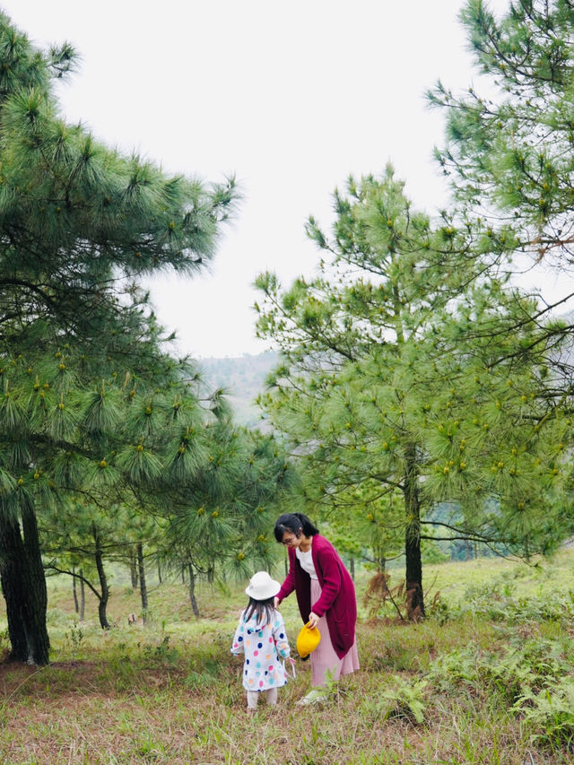 Getaway from Hanoi - The Phoenix Hill