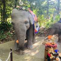 【横浜】よこはま動物園ZOORASIA - たくさんの動物が見られる国内最大級の動物園 -