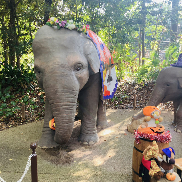 【横浜】よこはま動物園ZOORASIA - たくさんの動物が見られる国内最大級の動物園 -