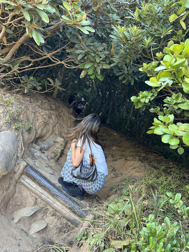 【福岡/糸島】トトロの森🌳