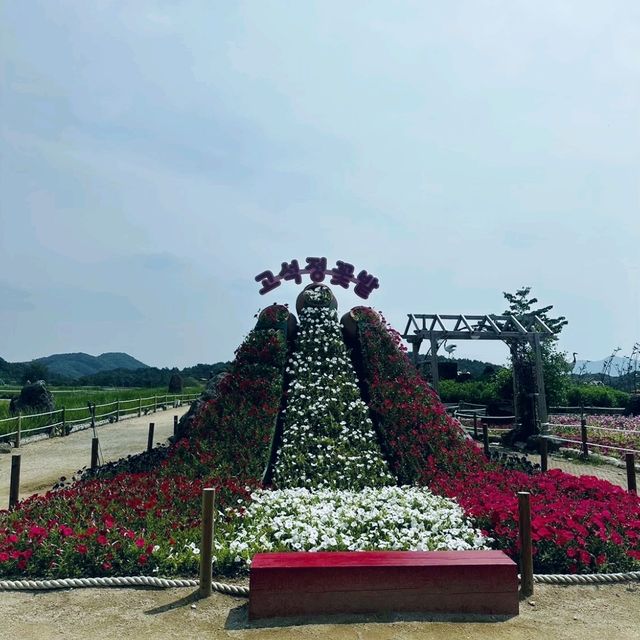 【江原道】100万本の花が咲く絶景のお花畑♡