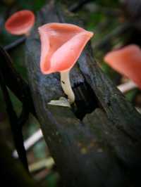 น้ำตกเหวนรก อช.เขาใหญ่