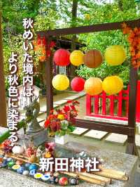 【東京都】秋めいた境内は、より秋色に染まる