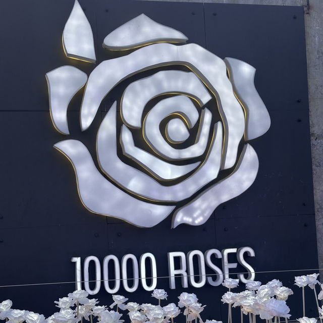 1000roses