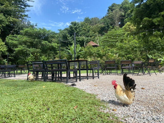 ทับเที่ยงฮิลล์ คาเฟ่สายธรรมชาติ