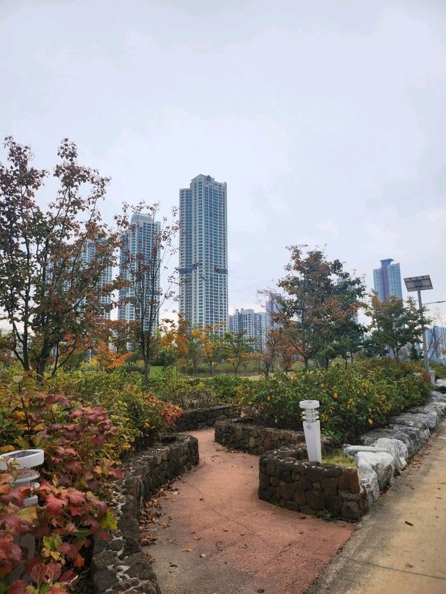 가을가을한 단풍 맛집 인천서구 청라 호수공원🌿