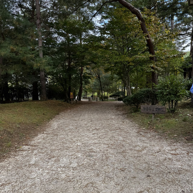 Nami Island 🤗