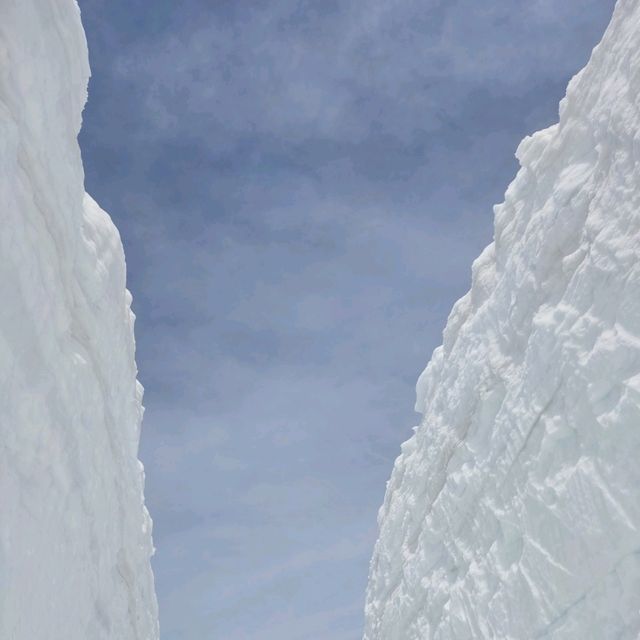 室堂雪之大谷，壯麗雪牆奇景。
