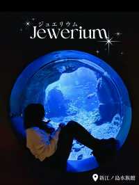【神奈川県 】まるで海のイルミネーション！？Jewerium（ジュエリウム）が新江ノ島水族館で開催中