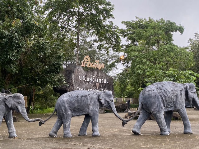 ป่าในเมือง ประตูสู่อันดามัน🐘