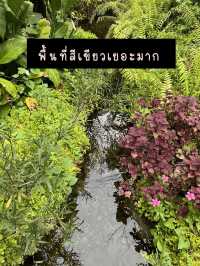 Camin Cuisine & Cafe