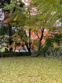 【東北×山形】東北の紅葉🍁名所  岩肌と奇石 紅葉🍁のコントラストが素晴らしい