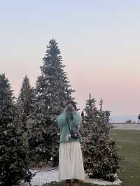 한국 부산🇰🇷 바다와 트리를 한번에 만날 수 있는 ‘빌라쥬 드 아난티🎄‘