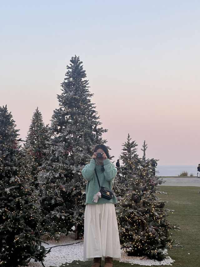 한국 부산🇰🇷 바다와 트리를 한번에 만날 수 있는 ‘빌라쥬 드 아난티🎄‘