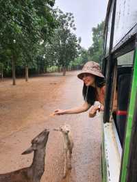 เที่ยวสวนสัตว์เหมือนฟืลแอฟริกาที่ ซาฟารีพาร์ค🦒