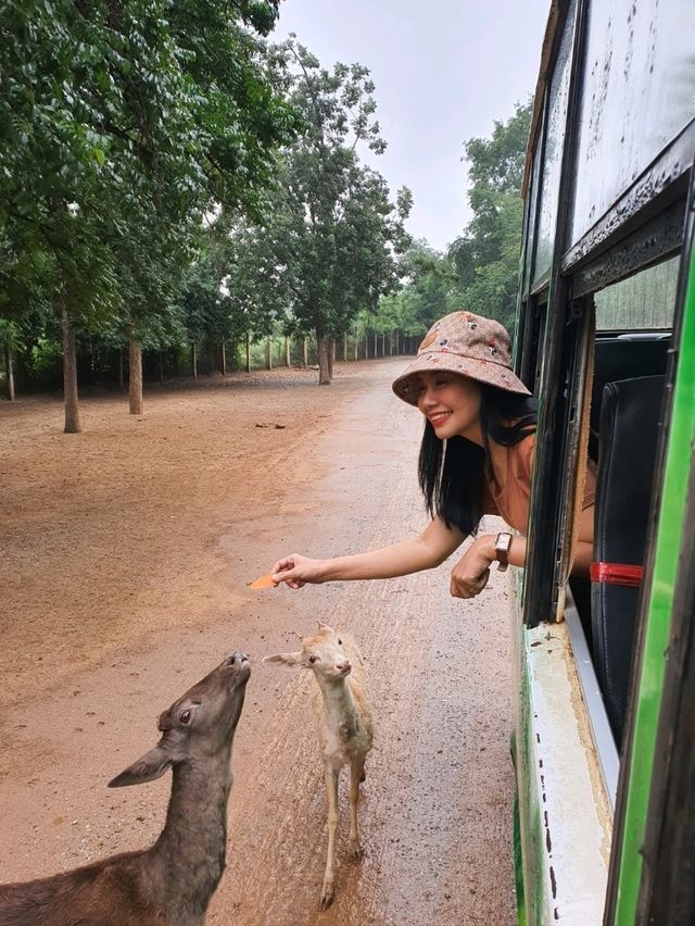 เที่ยวสวนสัตว์เหมือนฟืลแอฟริกาที่ ซาฟารีพาร์ค🦒