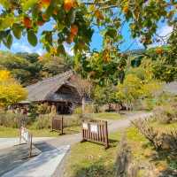 西湖療癒之里根場