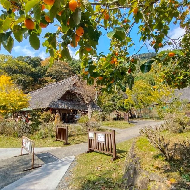 西湖療癒之里根場
