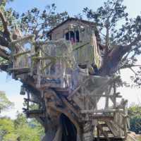 Magic, Parades, and Fireworks: My Enchanting Day at Disneyland Tokyo!
