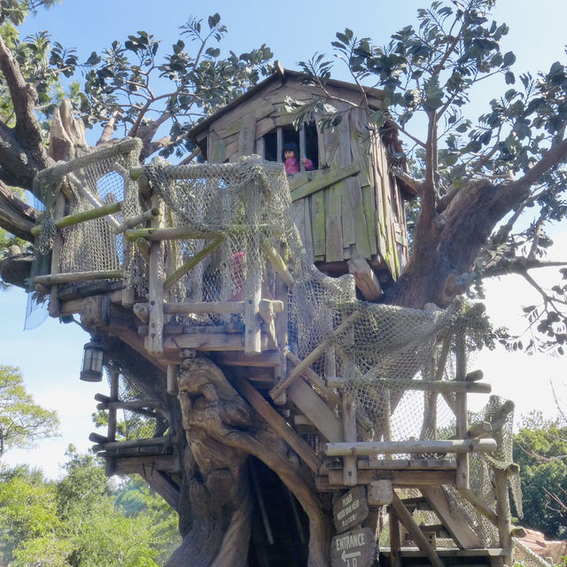 Magic, Parades, and Fireworks: My Enchanting Day at Disneyland Tokyo!