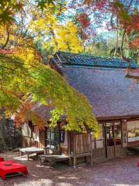 【奈良】タイムスリップしたような古民家カフェ×紅葉