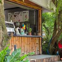 Bamboo House Cafe' ห้วยน้ำใส สวนผึ้ง